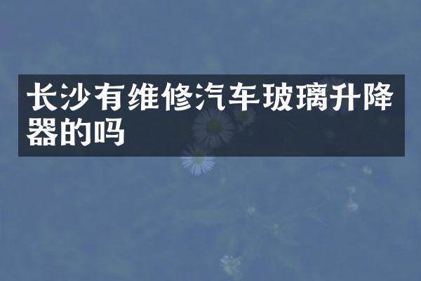 长沙有维修汽车玻璃升降器的吗