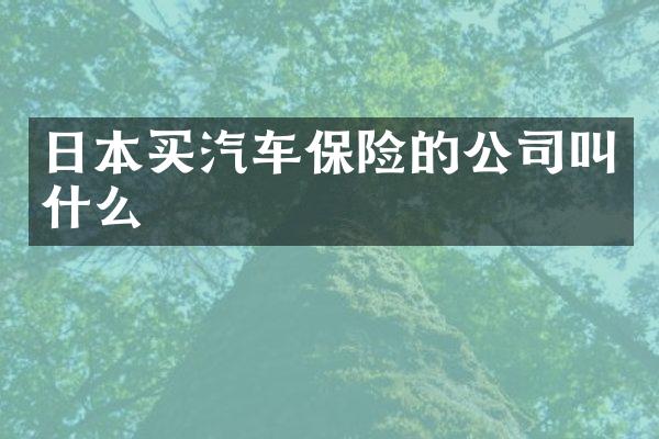 日本买汽车保险的公司叫什么