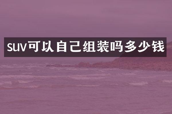 suv可以自己组装吗多少钱