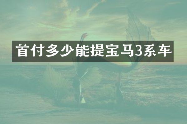 首付多少能提宝马3系车