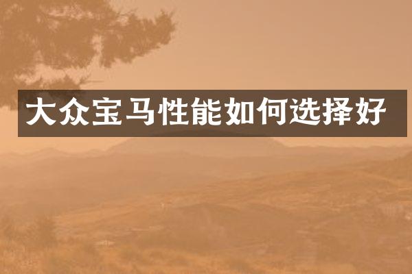 大众宝马性能如何选择好