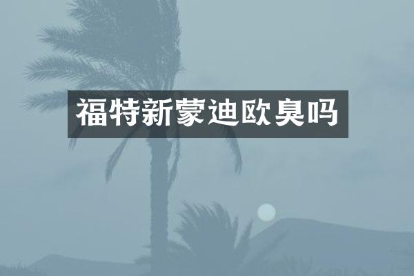 福特新蒙迪欧臭吗