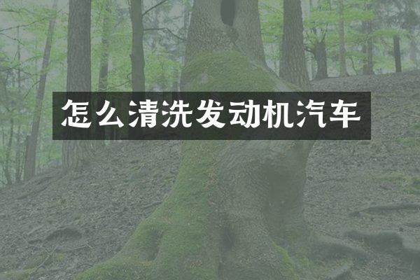 怎么清洗发动机汽车