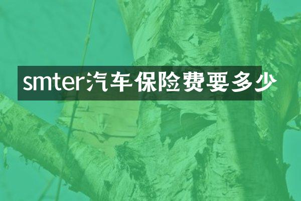 smter汽车保险费要多少