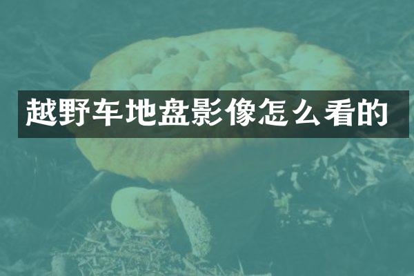 越野车地盘影像怎么看的