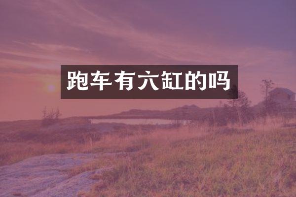 跑车有六缸的吗