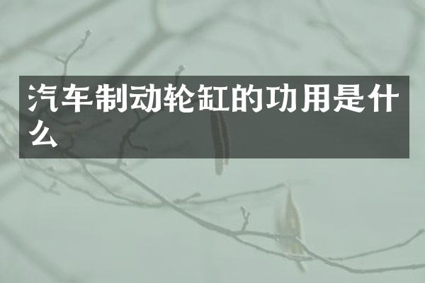 汽车制动轮缸的功用是什么