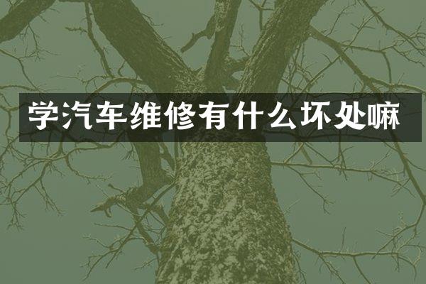 学汽车维修有什么坏处嘛