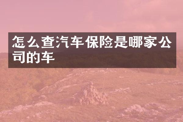 怎么查汽车保险是哪家公司的车