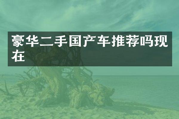 豪华二手国产车推荐吗现在