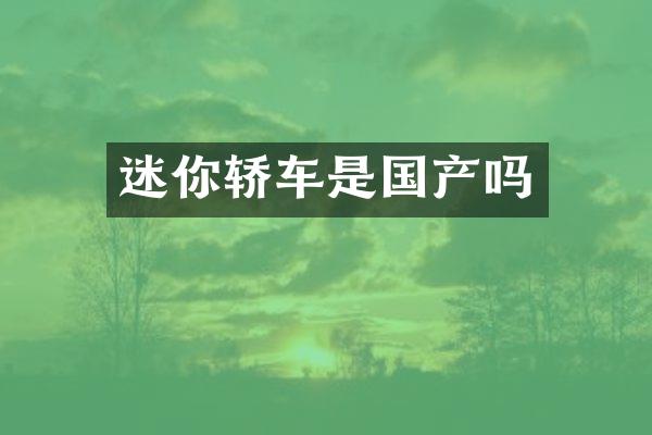 迷你轿车是国产吗