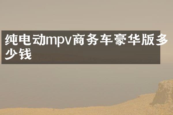 纯电动mpv商务车豪华版多少钱