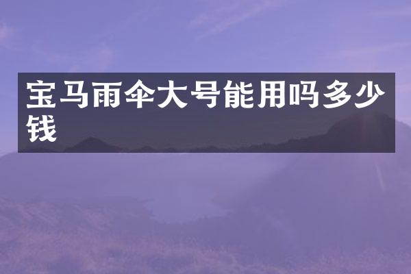 宝马雨伞大号能用吗多少钱