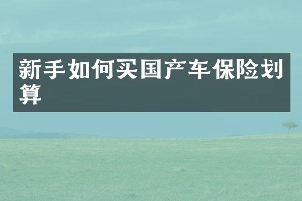 新手如何买国产车保险划算