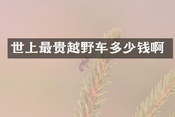 世上最贵越野车多少钱啊