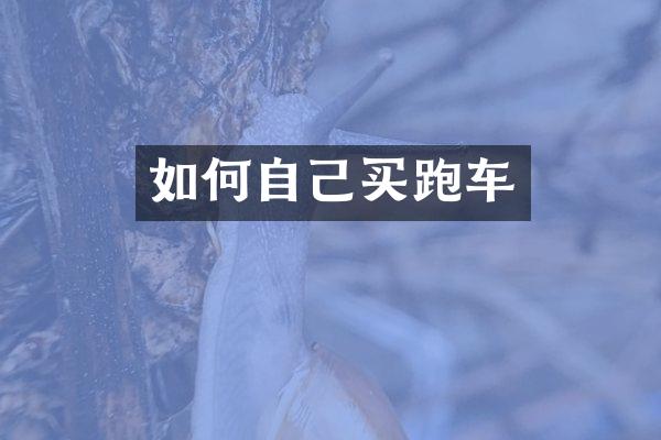 如何自己买跑车