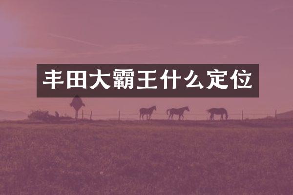 丰田大霸王什么定位