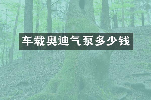 车载奥迪气泵多少钱