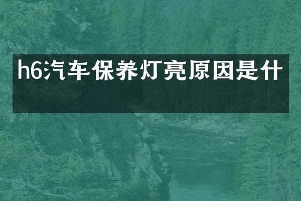 h6汽车保养灯亮原因是什么
