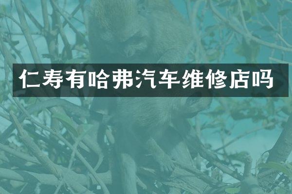 仁寿有哈弗汽车维修店吗