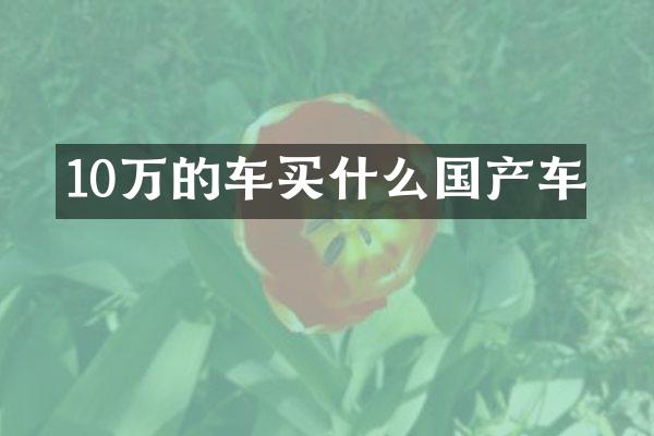 10万的车国产车