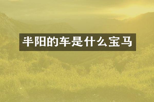 半阳的车是什么宝马