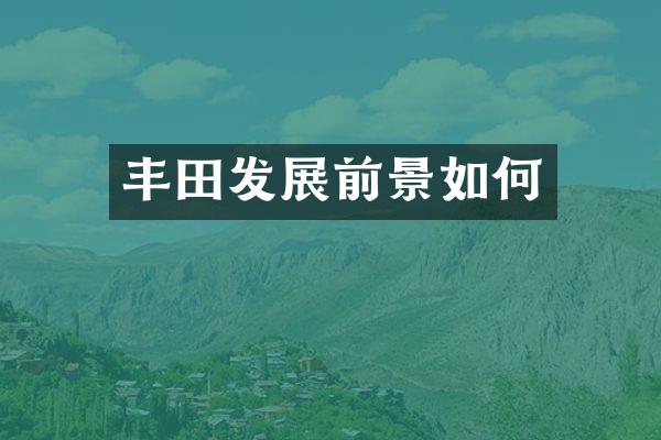 丰田发展前景如何
