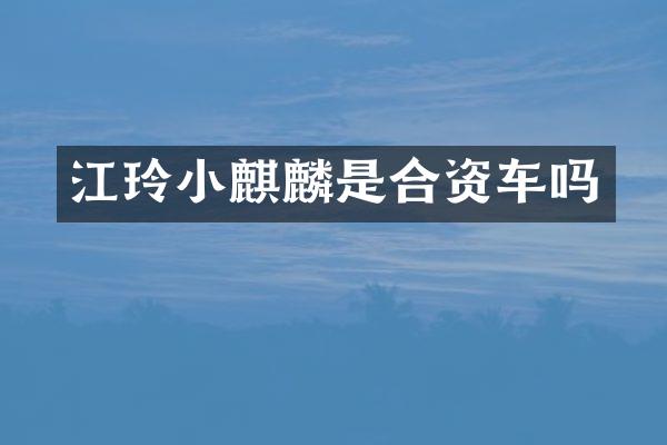 江玲小麒麟是合资车吗