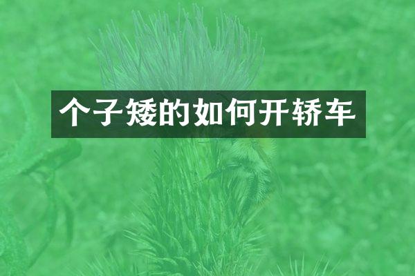 个子矮的如何开轿车