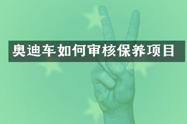 奥迪车如何审核保养项目