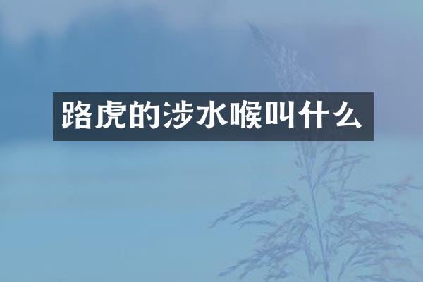 路虎的涉水喉叫什么