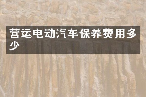 营运电动汽车保养费用多少