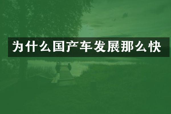 为什么国产车发展那么快