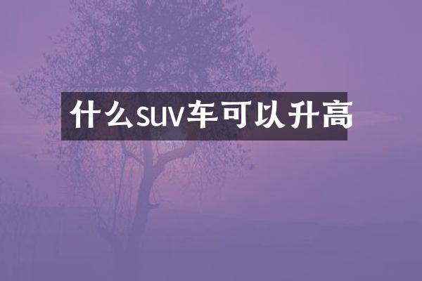 什么suv车可以升高