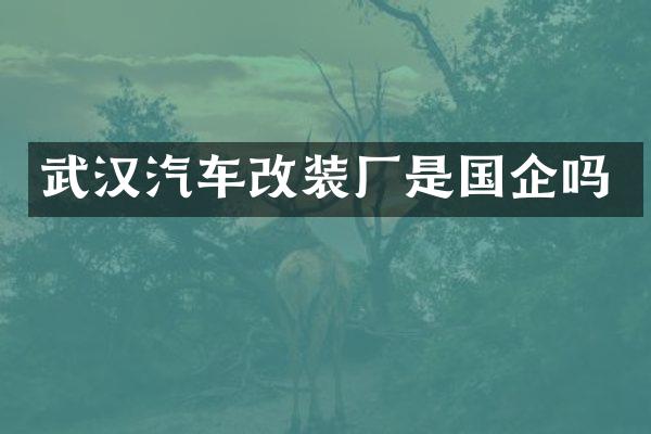 武汉汽车改装厂是国企吗