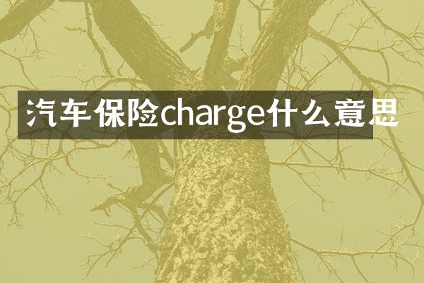 汽车保险charge什么意思