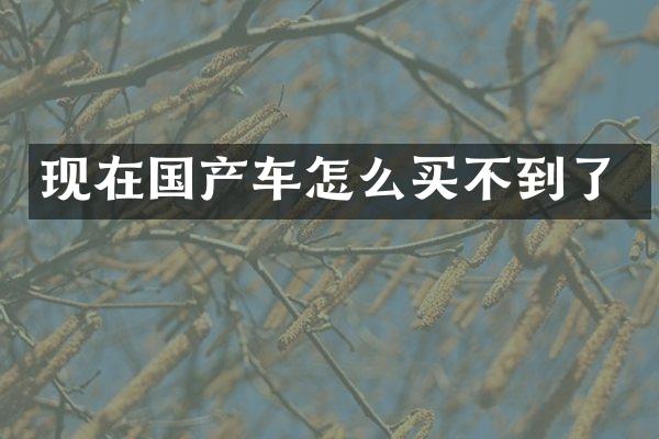现在国产车怎么买不到了