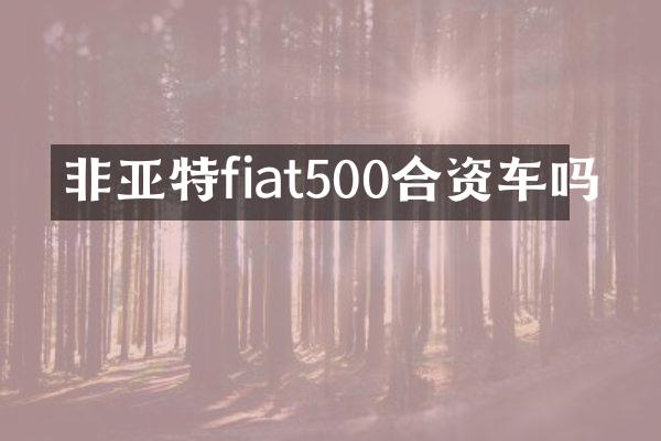 非亚特fiat500合资车吗