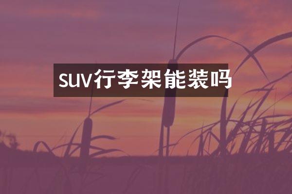 suv行李架能装吗