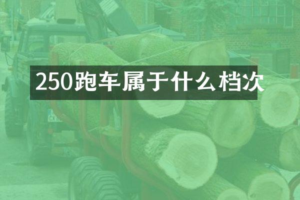 250跑车属于什么档次