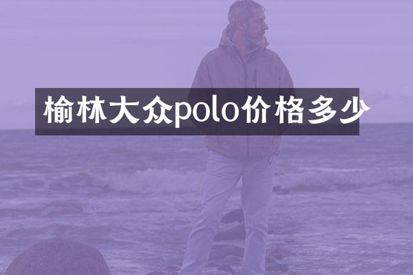 榆林大众polo价格多少