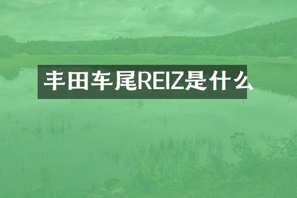 丰田车尾REIZ是什么