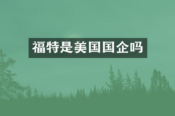 福特是美国国企吗