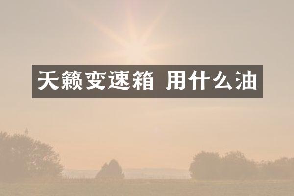 天籁变速箱 用什么油
