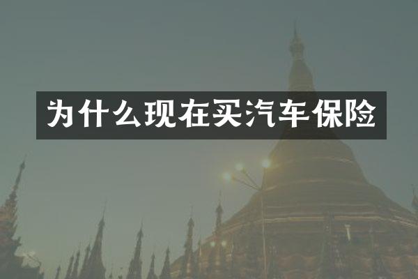 为什么现在买汽车保险