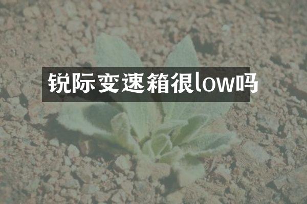 锐际变速箱很low吗