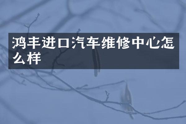 鸿丰进口汽车维修中心怎么样