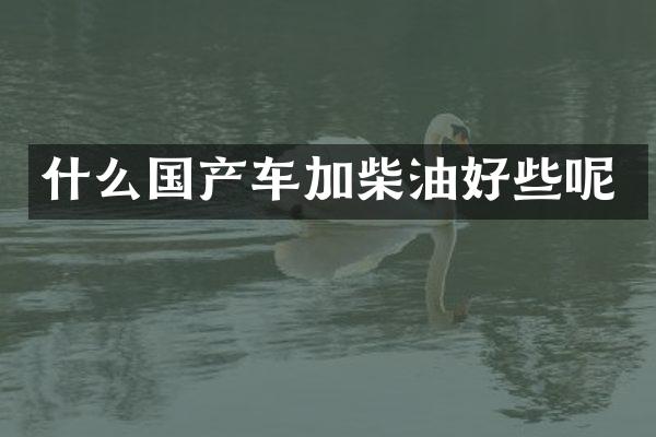 什么国产车加柴油好些呢