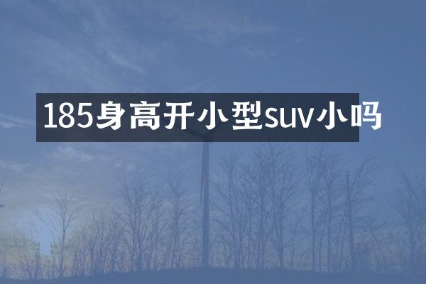 185身高开小型suv小吗