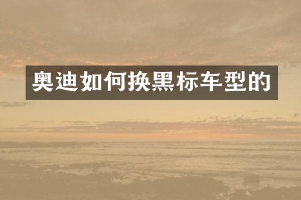 奥迪如何换黑标车型的